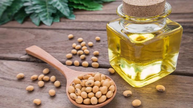 Global Market Trends & Demand Forecast for Iranian Soybean Oil